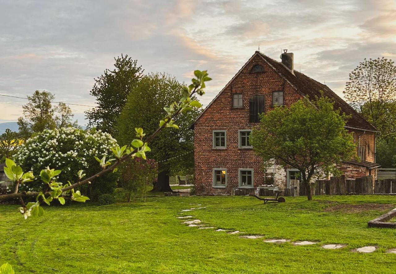 Dom Na Krzewiu Bed & Breakfast Gryfow Slaski Luaran gambar