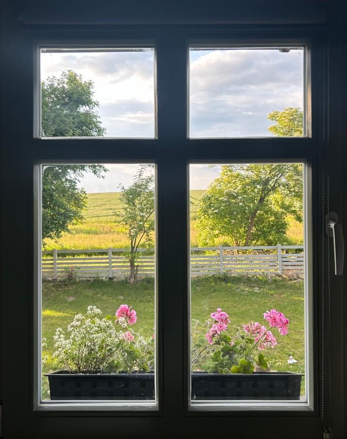 Dom Na Krzewiu Bed & Breakfast Gryfow Slaski Luaran gambar
