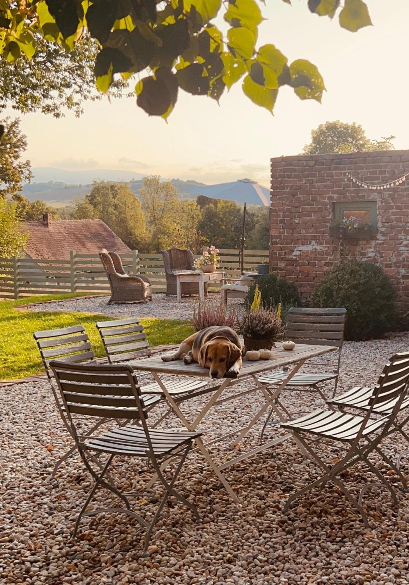 Dom Na Krzewiu Bed & Breakfast Gryfow Slaski Luaran gambar